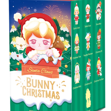 Bunny Christmas Series Mystery Box